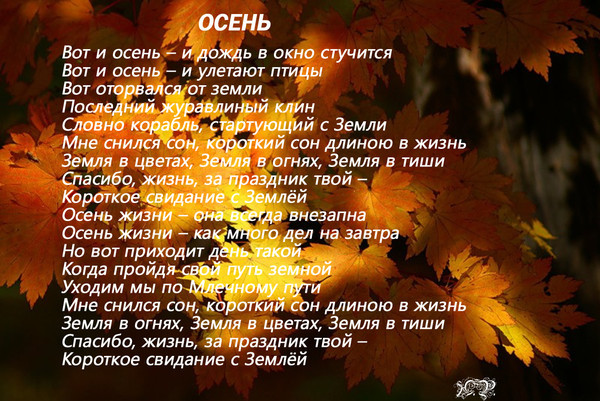 Маленькая стихотворение про осень: Короткие стихи про осень: красивые русских поэтов маленькие, небольшие стихотворения для детей