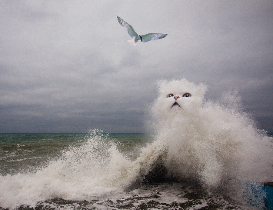 Чайка села на волну и волна ее качала: За живое – Редакция – Журнал «Сеанс