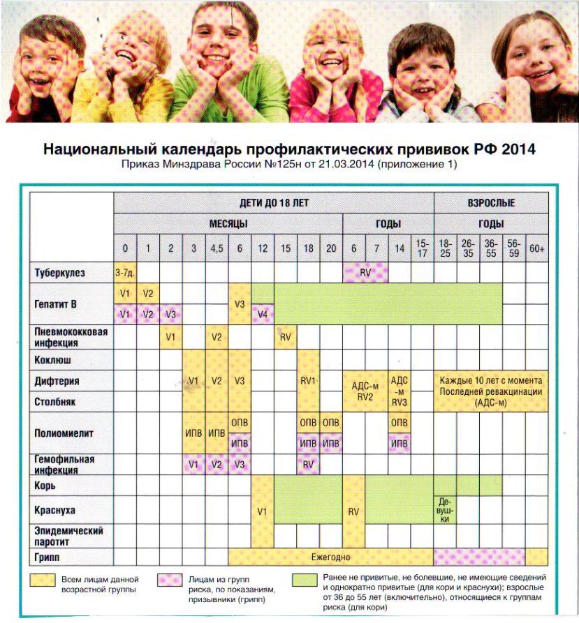 Календарь прививок в рф: Календарь прививок — Детский медицинский центр
