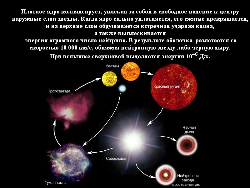 Как называются зарождающиеся звезды: Космогония - Развитие звезд