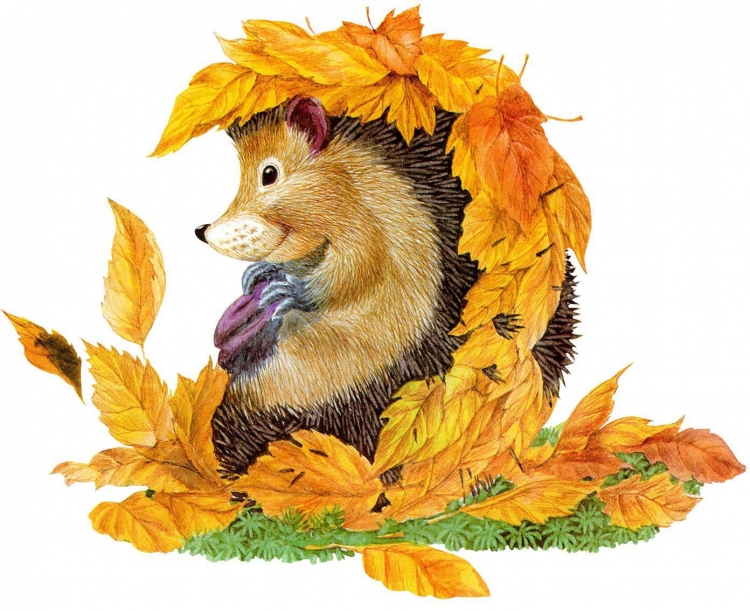 Детские стихи про осень для самых маленьких: 100 лучших детских стихов про осень: красивые стихи