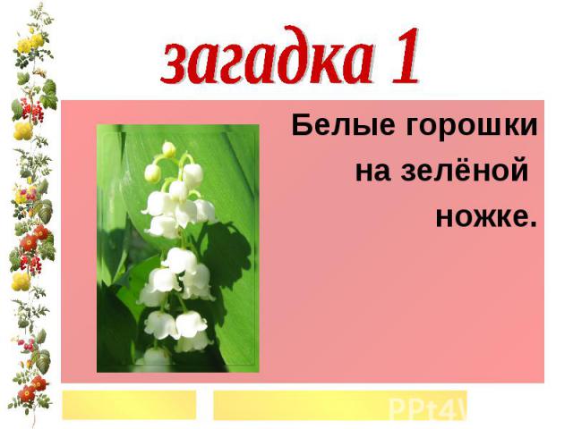 Белые горошки на зеленой ножке ответ на загадку: Ответы на кроссворды и сканворды онлайн