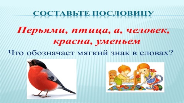 Красна птица перьями: Значение пословицы красна птица пером,а человек умом