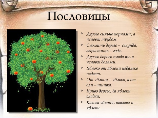Дерево держится корнями а человек друзьями кто автор пословицы: Автор пословицы. Дерево держится корнями, а человек друзьями.
