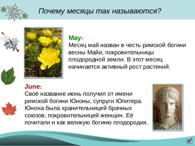 Почему июнь назвали июнем: В честь кого названы месяцы? | История | Общество