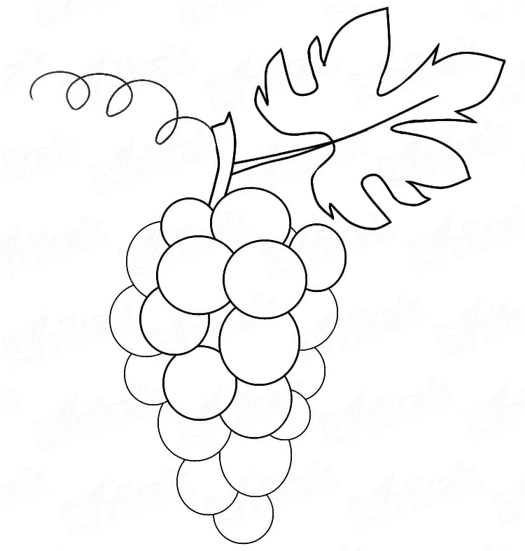 Раскраска виноград для детей: Раскраска виноград