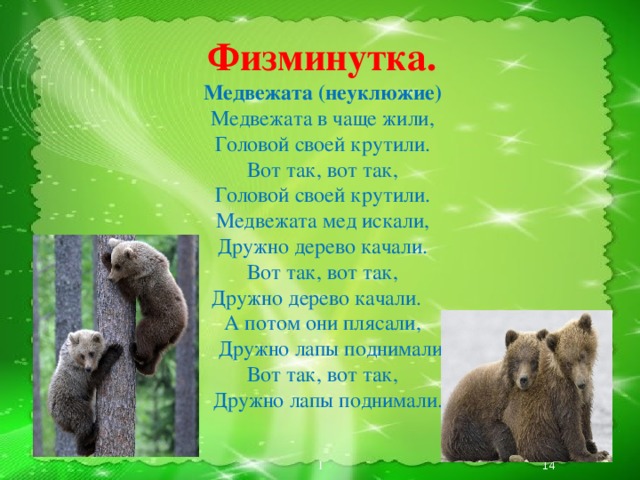 Загадки о медведе: Загадки про медведя с ответами