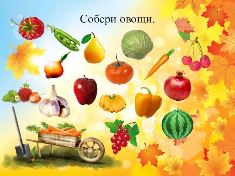 Вірш про дари осені: 37 віршів про осінь, які легко вивчити дітям