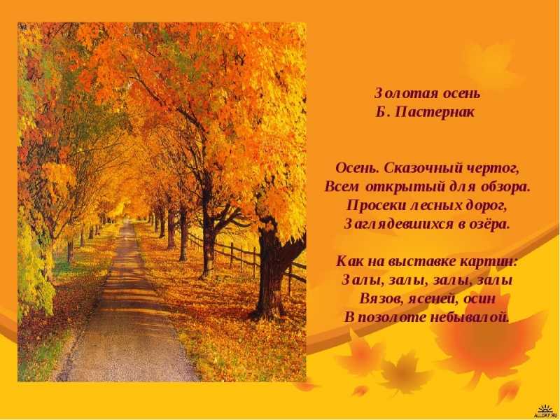 Веселые стихи про осень короткие: 100 лучших детских стихов про осень: красивые стихи