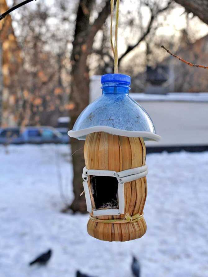 Кормушки для птиц из бутылки своими руками: идеи и советы по изготовлению.