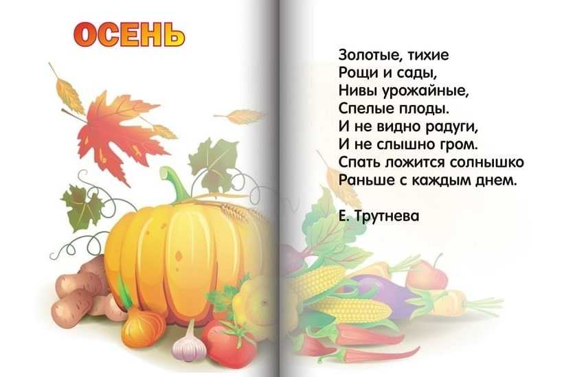 Стихи об осени 2 класс с автором: Стихи про осень для детей