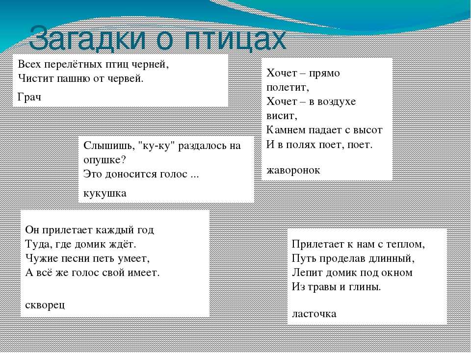 Загадка про птицу: Загадки про птиц для детей с ответами