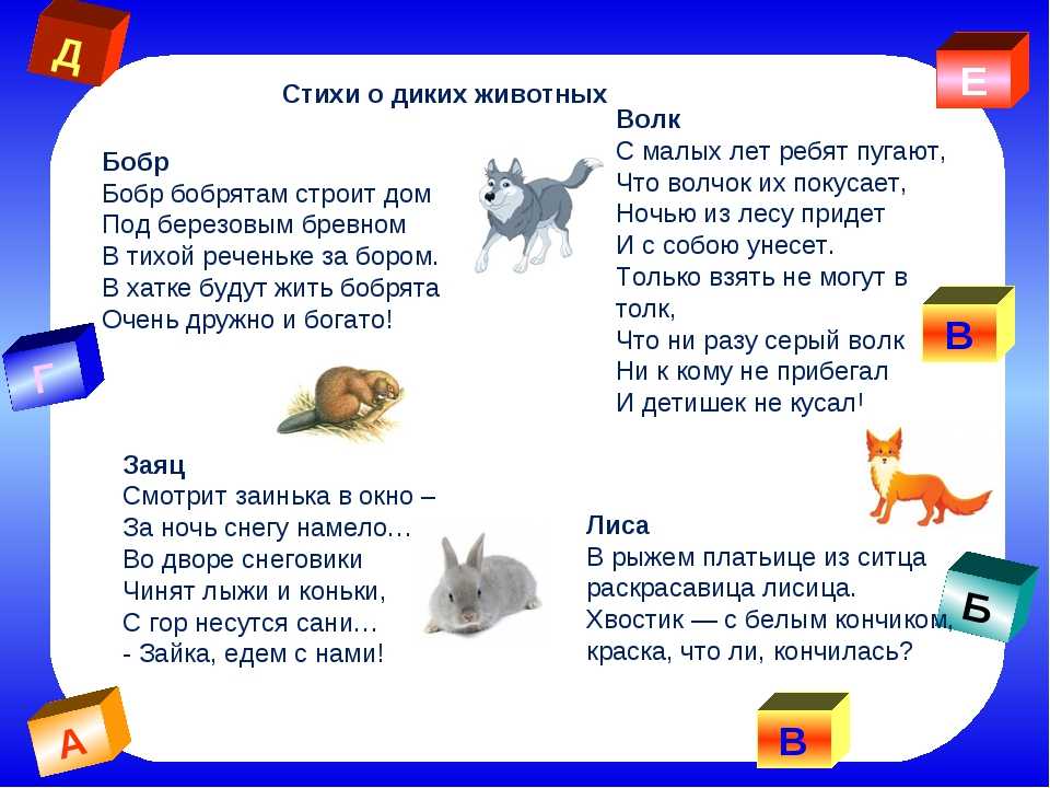 Стихи детские про животных короткие: Про животных - короткие стихи детям 2-3 лет