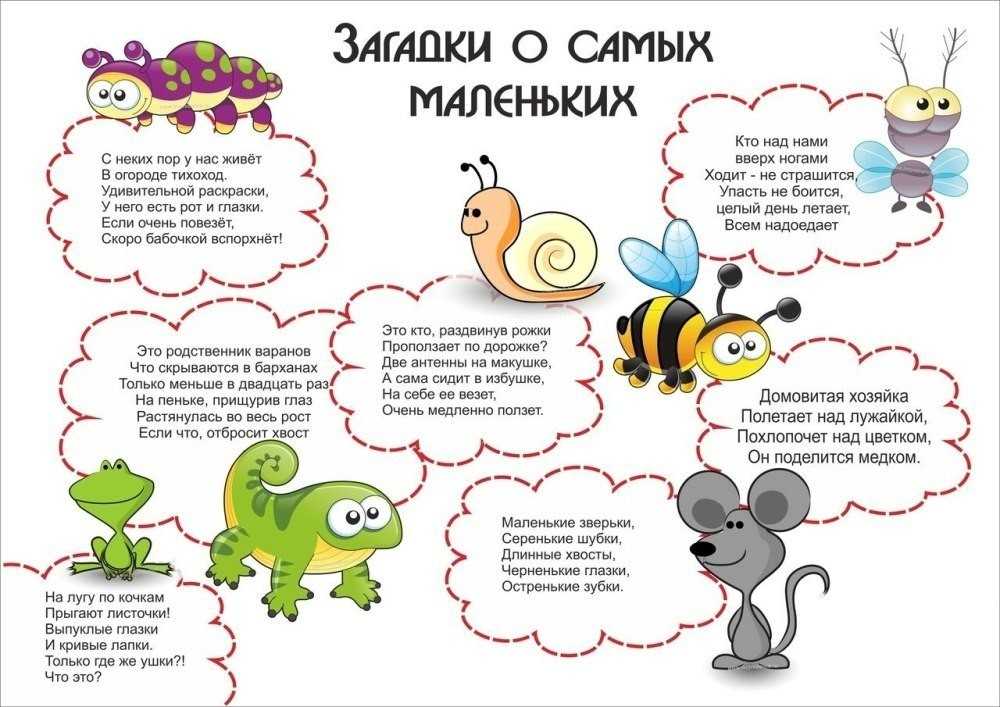 Загадки для першокласників: Загадки для дітей про тварин, природу і пори року: 75 загадок з відповідями