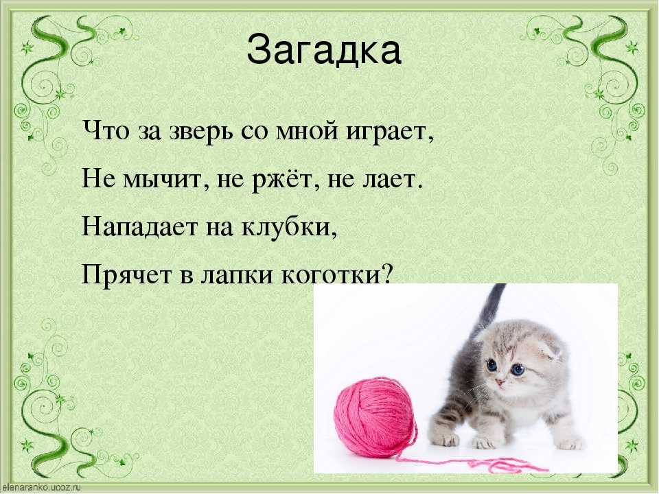 Загадки про животных 1 класс: Загадки про животных для 1 класса с ответами, короткие