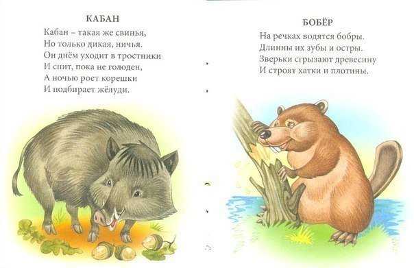 Детские стихи о животных короткие: Про животных - короткие стихи детям 2-3 лет