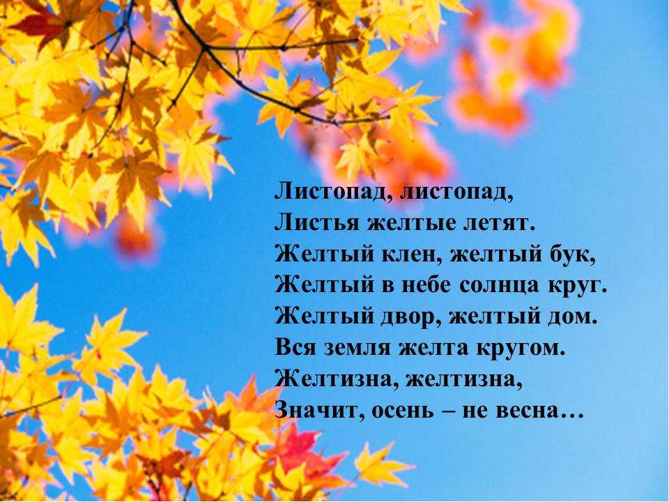 Стихотворения про осень для детей 6 лет: Стихи про осень для детей в детском саду и в школе