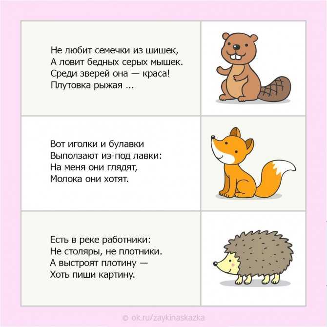 Загадки про животных для детей 8 лет: 30 загадок про животных с ответами для детей 6–7 лет и 8–9