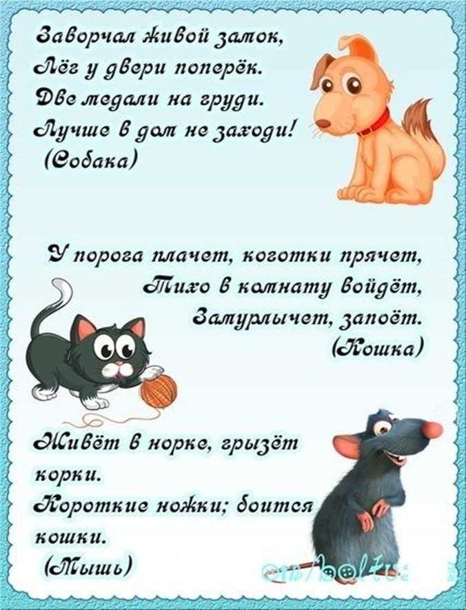 Загадки о животных 1 класс с ответами: Загадки про диких животных с ответами