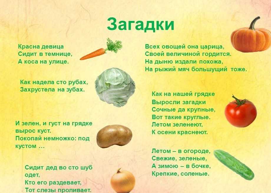 Загадки для детские: Загадки для детей с ответами