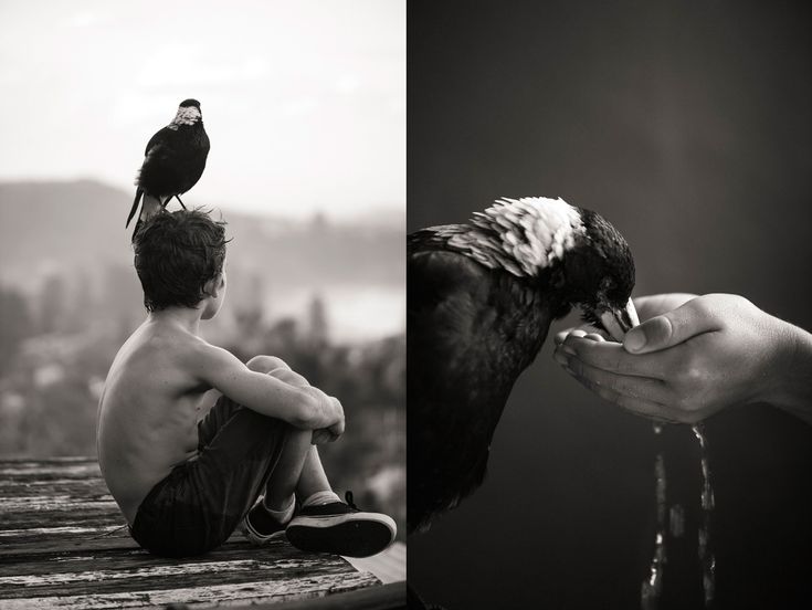 Сильна птица крыльями а человек дружбой: “Птица сильна крыльями, а человек – дружбой” (народная пословица) 👍