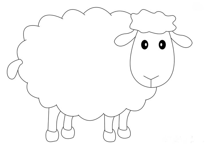 Раскраска овечка для малышей: Раскраска овечка - распечатать картинки для детей