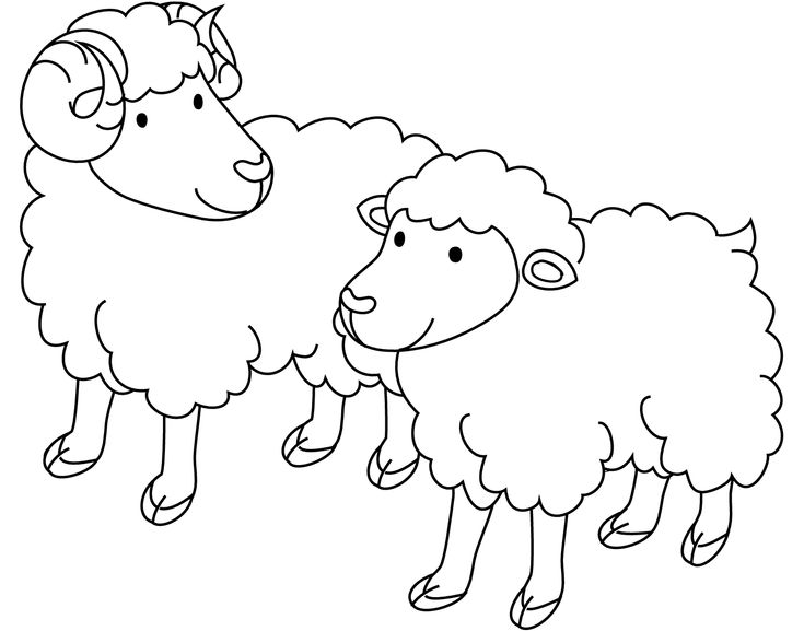 Раскраска овечка для малышей: Раскраска овечка - распечатать картинки для детей