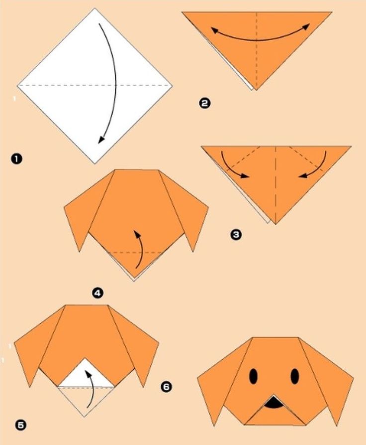 Оригами из бумаги собака схема: схема для детей, модульное оригами, пошаговая инструкция сборки для начинающих