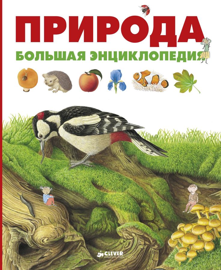 Книга для детей о природе: Книги о природе для детей — 71 книга