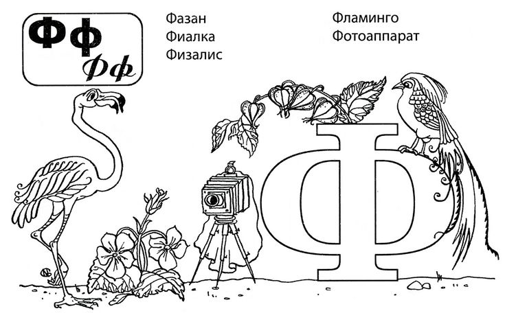 Картинки буква ф: Картинки буква Ф (30 фото) • Прикольные картинки и позитив