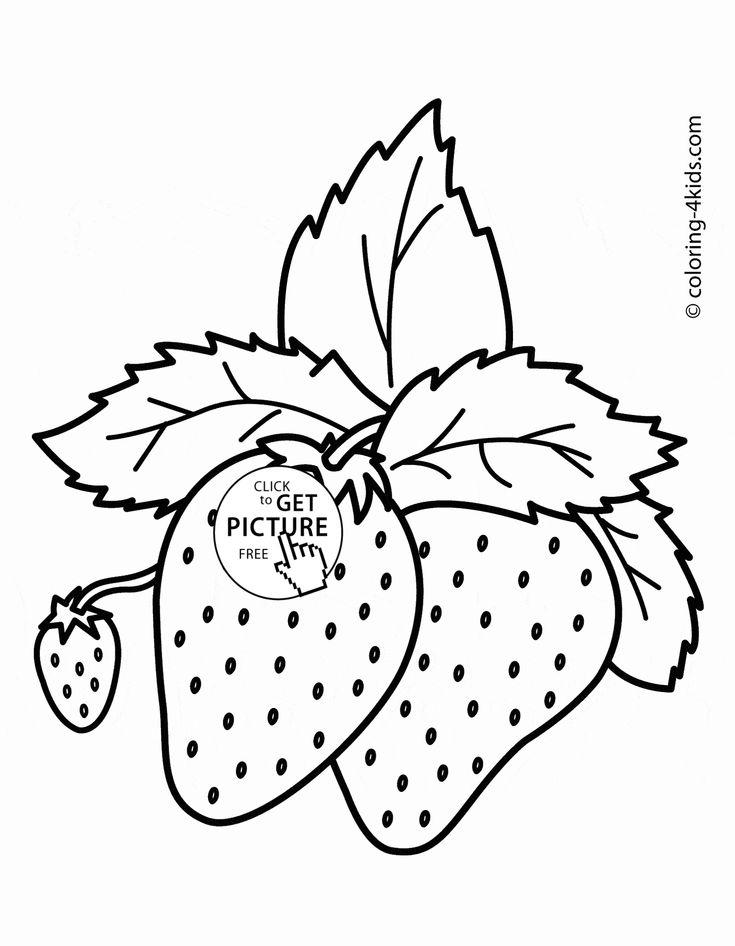 Разукрашки для детей фрукты: Раскраски ягоды и фрукты