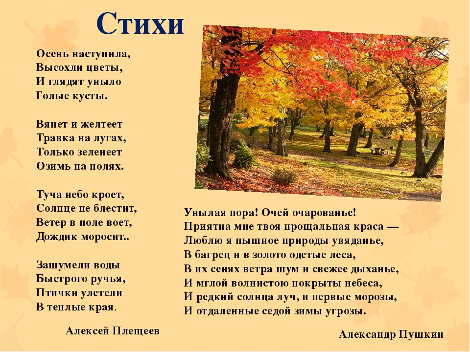 Стихи про осень для школьников 2 класса короткие: Стихи про осень для 2 класса