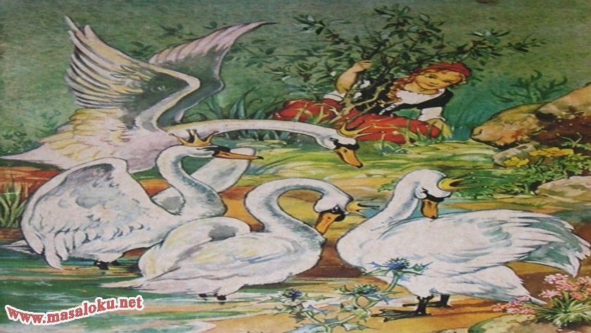 Семь лебедей сказка: Сказка Дикие лебеди. Ганс-Христиан Андерсен. Читать онлайн. Сказка про принцессу Эльзу