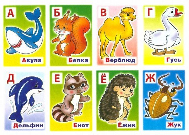Картинки на каждую букву алфавита: Красивые картинки буквы алфавита для детей (шаблоны)