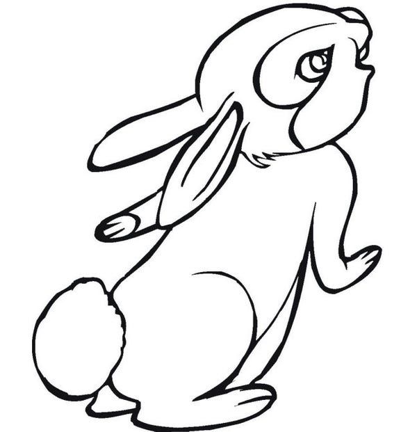Рисунок зайчик для детей карандашом: Как нарисовать зайчика карандашом поэтапно