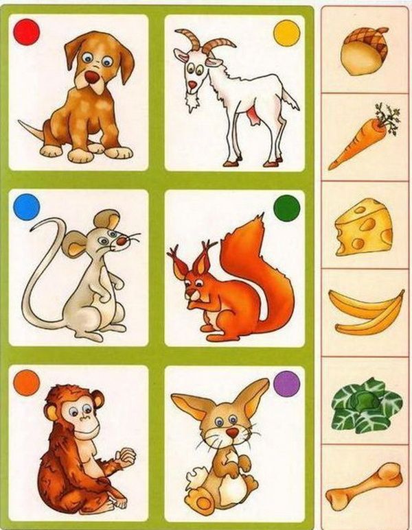Познавательные игры для дошкольников: Дидактические игры для дошкольников, познавательные игры