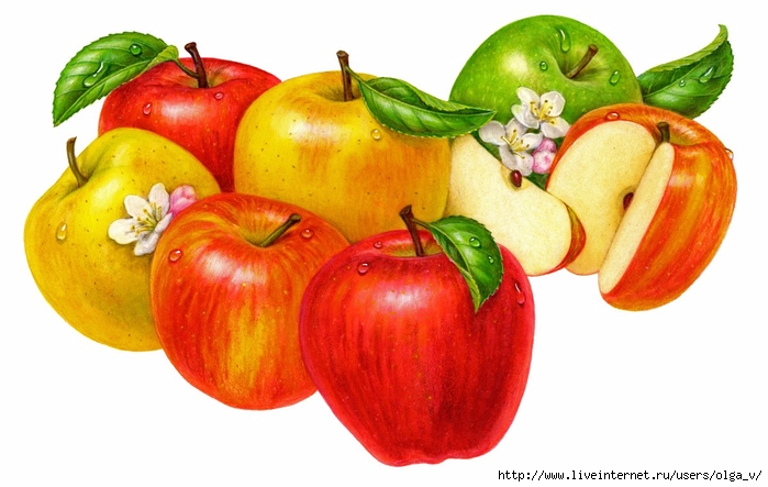 Картинки для детей яблоки: Рисунки карандашом для детей яблоки (48 фото) 🔥 Прикольные картинки и юмор