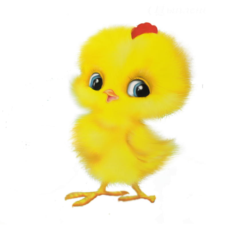 Нарисованные цыплята: Цыпленок картинка для детей в школу и в детский садик.
