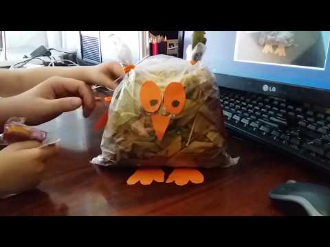 Поделка сова в пакете: Сова из листьев своими руками: как сделать поделку сову из листьев в пакете, осенняя поделка