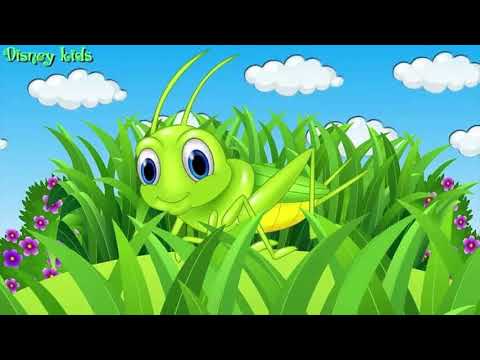Песня о кузнечике: Песня В траве сидел кузнечик слушать онлайн и скачать
