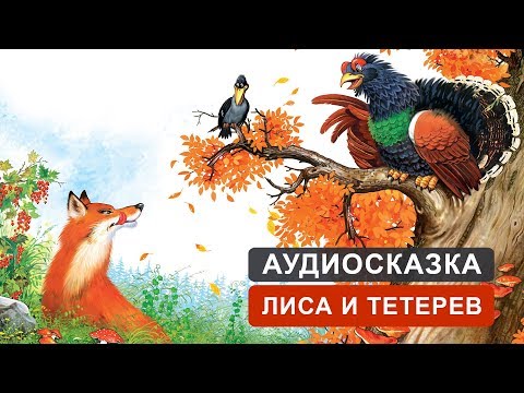 Слушать сказку лиса и тетерев: Лиса и тетерев сказка слушать онлайн и скачать