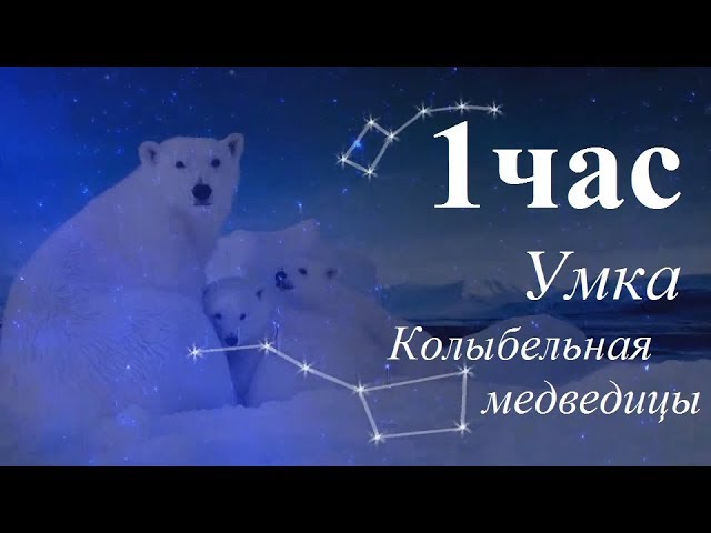 Песня умка колыбельная онлайн слушать бесплатно: Колыбельная медведицы слушать онлайн и скачать