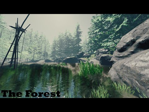 Игры лес: Игры про лес - топ лучших игр с элементами выживания в лесу