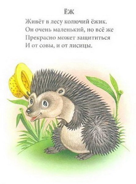 Короткие стихи про животных: Про животных - короткие стихи детям 2-3 лет