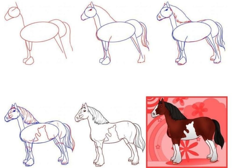Детям как нарисовать лошадь: Как нарисовать лошадь: 24 подробные инструкции