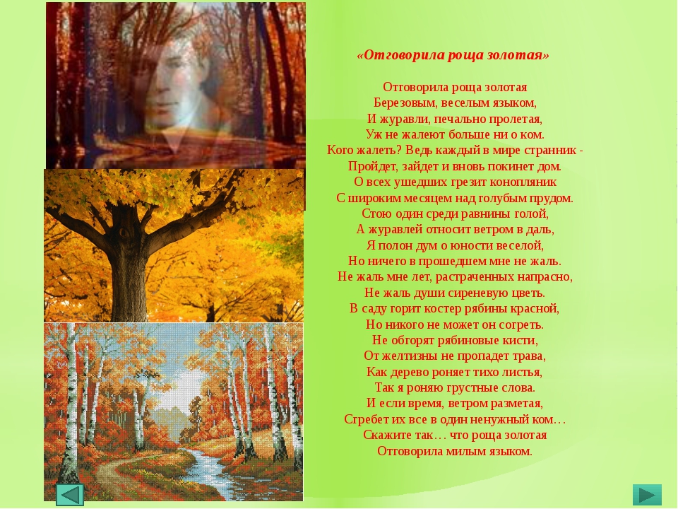 Стихи осень в лесу для детей: Стихи про осенний лес - читать