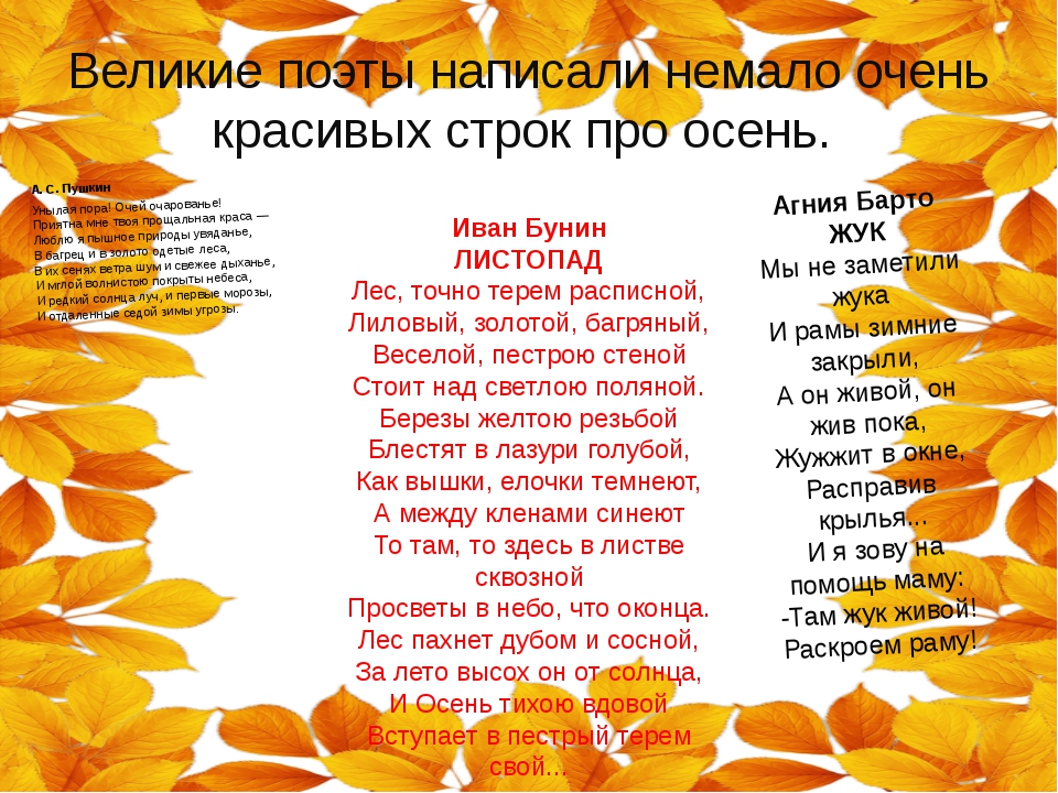Современные стихи для детей про осень: читать красивые стихотворения поэтов классиков на РуСтих