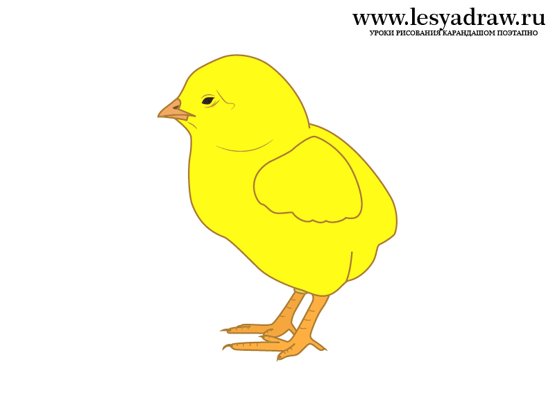 Нарисовать цыпленка: Как нарисовать цыпленка — Все для детского сада