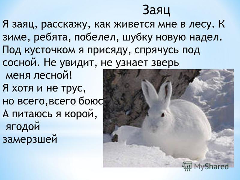 Зимой живет лежит а весной умрет бежит: Прочитайте.вставьте пропущенные буквы.объясните отгадки к загадкам.выпишите четыре глагола в единственном числе,а рядом запишите эти же...