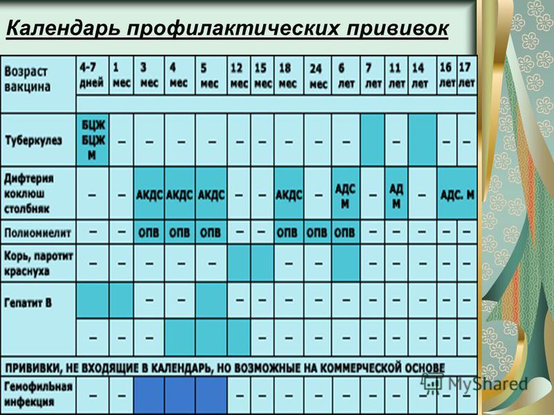 Календарь прививок в рф: Календарь прививок — Детский медицинский центр
